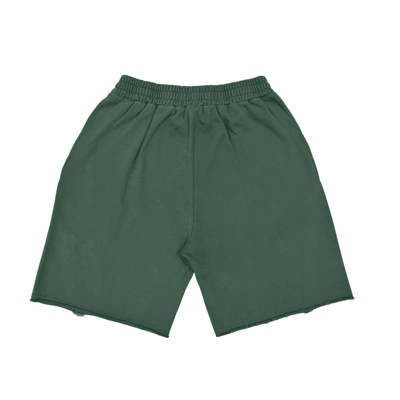 SM Vintage Washed Shorts green back