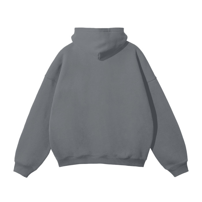 SM Sig. Fleece Hoodie grey back