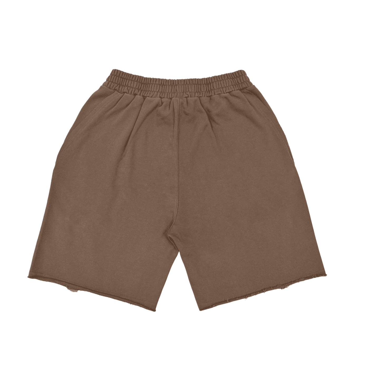 SM Vintage Washed Shorts coffee back