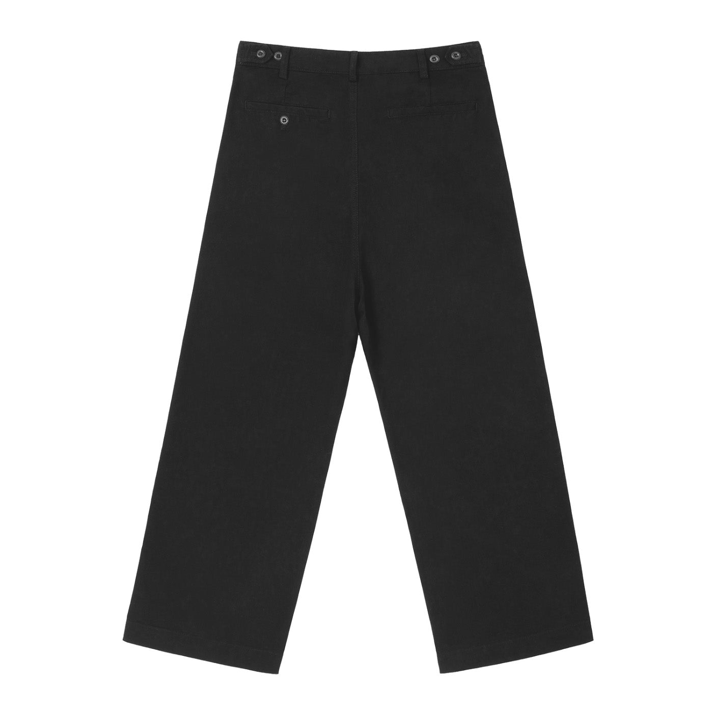 SM Pleated Trousers black back