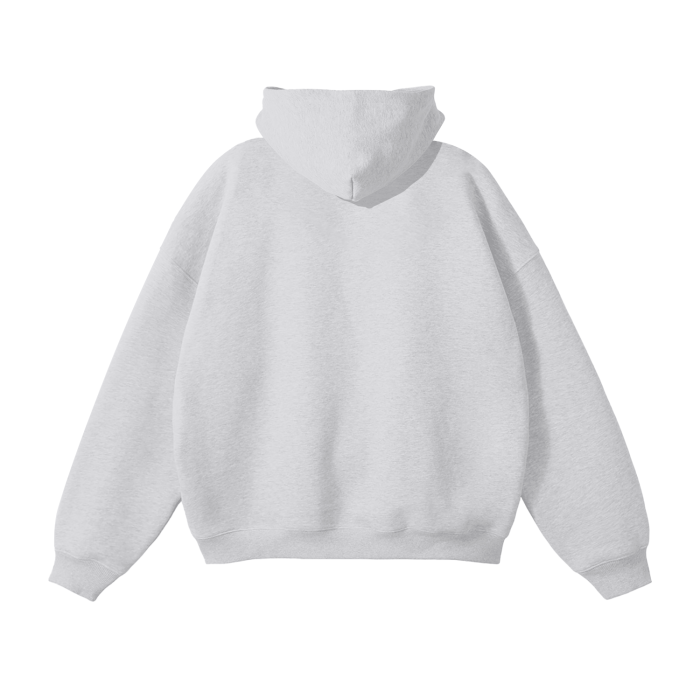 SM Sig. Fleece Hoodie heather grey back
