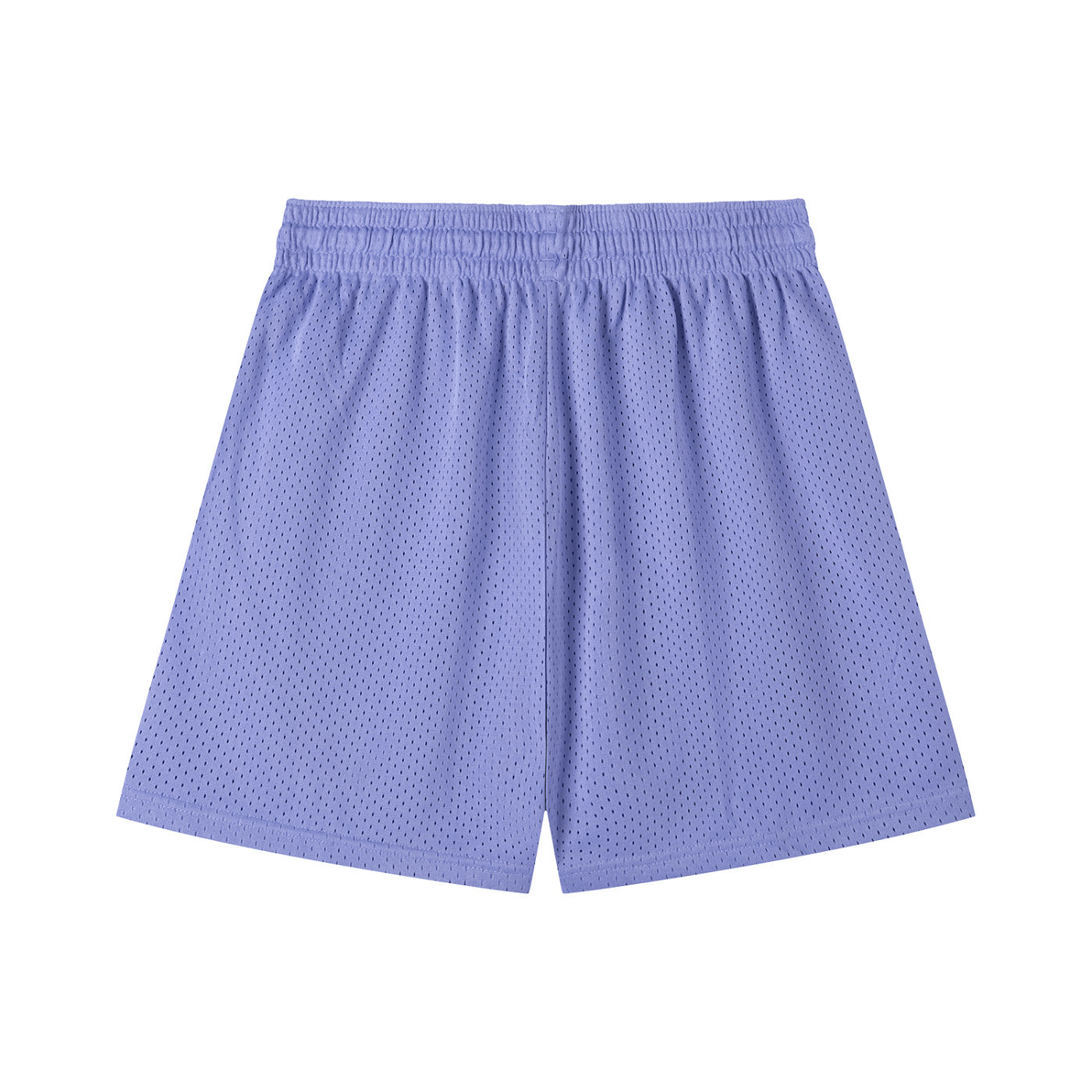 SM Motion Mesh Shorts violet back
